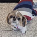 로얄동물병원 이미지