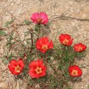 은하수펜션 이미지