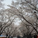 김유신장군로 이미지