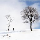 예정목장 이미지