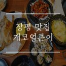 개코얼큰이 이미지