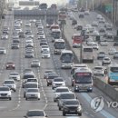 무술년 테마전 아시아의 개 이미지