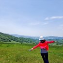 용수골목장 이미지