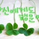 마할키타(MAHAL KITA) 이미지