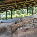 판교생활유적군(백제~조선시대) 이미지