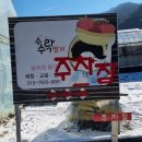 숲속에 딸기 이미지