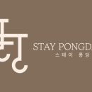 스테이퐁당