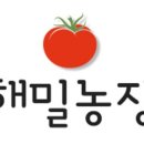 주황농장 이미지