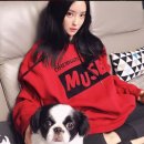 티아라 펫 이미지