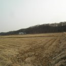 서구-02-86 이미지