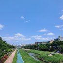 호텔와이(호텔Y) | [여행] 서울 새절역 와이호텔 후기