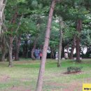 황성공원 풋살구장 이미지