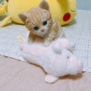 꾸숑 cochon