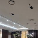 탄천상로 | W01_5 성남 웨딩홀 ‘분당앤스퀘어’ 웨딩홀 투어 26년 하반기 견적 상담 계약 후기