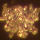 케이엠지에너지 이미지