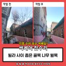 씨유 파주성동로드점 | 빌라 사이 좁은 골목 나무 벌목 폐기물 처리