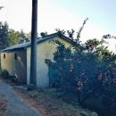 하원동-3 이미지