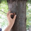 동변근린공원