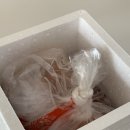대구 추풍황악산김치 서남시장 전라도 김치 온라인주문 후기
