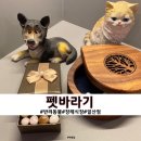 은평-038 | 경기도 일산 애견화장터 반려동물장례장 '펫바라기'에서 마지막 선물을