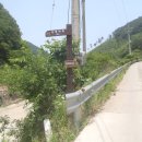 금대목장 네이버블로그