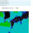 카덴트칼라매치 Daum카페