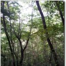 고산자연휴양림 이미지