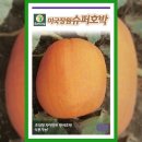 장원슈퍼 - 동구 밤실로116번길 4 | 장원슈퍼