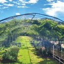 다비농장 이미지