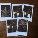 드림월드타운 | 잠실 롯데타운 크리스마스 마켓 당일예약 관람팁 솔직 후기