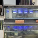 짚불로 | 고기 사서 바로 먹는 파주 캠핑식당, 짚불로 캠핑정육점 후기