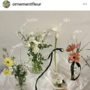 스튜디오 앨범 수령 후 쓰는 핫한 오르네먼트 촬영부케 솔직후기 (+짝꿍코드)