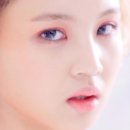 로즈(Rose) 이미지