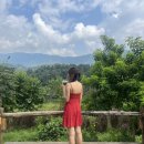 Pink Pong Pong | 치앙마이 가볼만한곳 코끼리 볼수 있는 엘리핀팜 카페 가는방법 메뉴 가격 GNL결제 투어후기