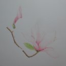 꽃그림 보타니컬아트 이미지