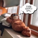 조림 존맛 고할망네 | 서귀포 감성 숙소 살강스테이 후기 | 수월봉 지질트레이 | 서귀포 카페 추천 솔옆수