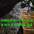 폰153 이미지