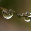 들꽃피는 언덕 이미지