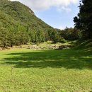 장태건설(주) | 수안보면 미륵리 미륵대원지(水安堡面 彌勒里 彌勒大院址)