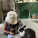 애니멍 | [경기/남양주] 동물 먹이주기 가능한 작은 동물농장 &lt;남양주 동물원 플레이애니멍&gt; 솔직 후기