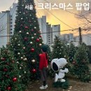 스누피 애견 | 서울 제이닷트리 크리스마스 팝업 예약 시간 입장료 애견 주차 정보 &amp; 아이와 스누피 포토존 후기