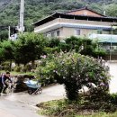 내곡1리마을회관 이미지