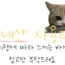 초월농장 이미지