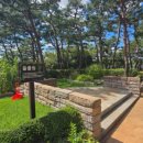 [남부] (야간)캘리그라피(2025) | 설 연휴 전주 여행코스 추천｜전주 수목원부터 한옥마을·남부시장까지