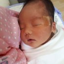 메디피아산부인과의원 네이버블로그
