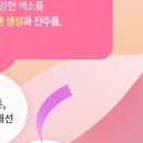 엘클래식의원 이미지