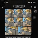 인천동물심장내과 이미지