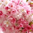 정회원 신청합니다. 이미지