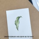 색연필 식물 세밀화 이미지