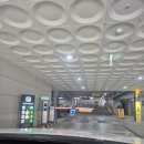 쉘브르베이커리 | 부여 당일치기 에펠제과 베이커리 주차 찐 내돈내산 후기 (구뜨레페이, 디지털온누리상품권 긁어씀)